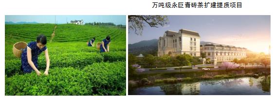 1664549237282546.jpg 5a1bdd87-8147-4bb0-a898-ec47d2b3f164.jpg