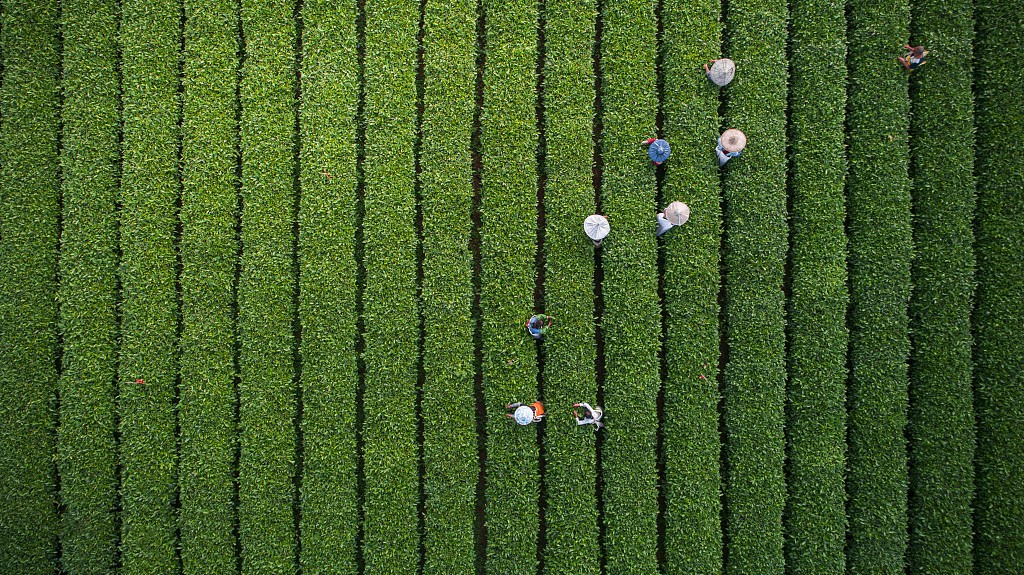 從聶市鎮開始，征服世界！