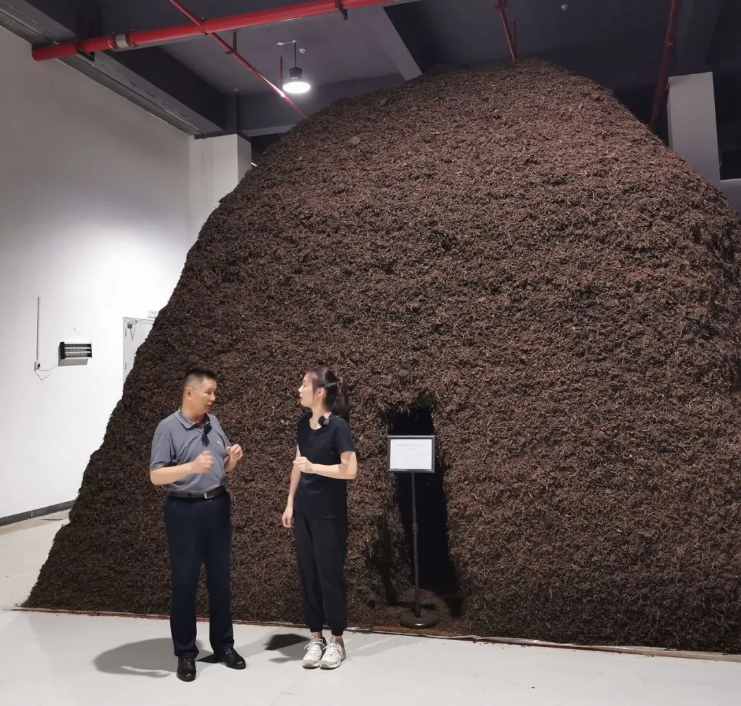 1668587427177898.jpg 640 (3).jpg